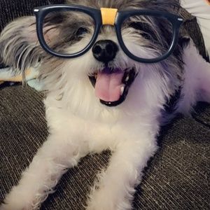 Meet your Posher, Claudia